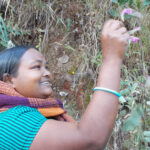 Poems of Sushma Asur